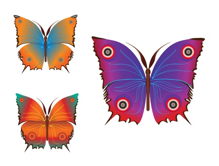 Set fantasy colorful  butterflies (vector) isolated on whiteのイラスト素材