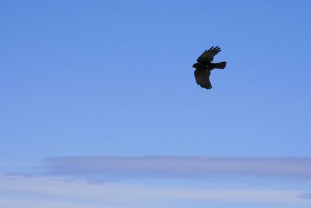 Flying high...の写真素材