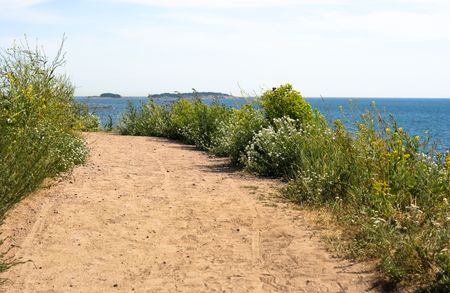 The sand walk by the seaの写真素材