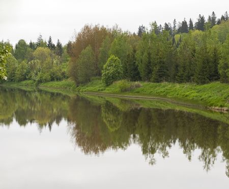 Woods reflecting in riverの写真素材