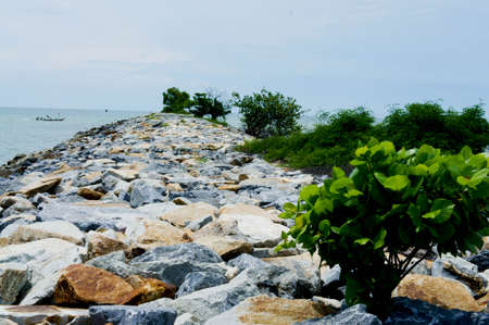 stone walkway paved , the seaの写真素材