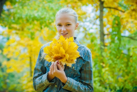 Young woman with autumn leaves in hands and fall yellow maple garden backgroundの写真素材
