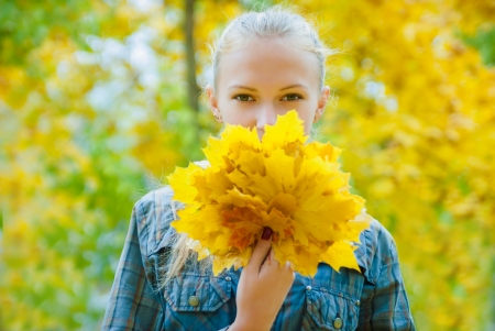 Young woman with autumn leaves in hands and fall yellow maple garden background covering her faceの写真素材