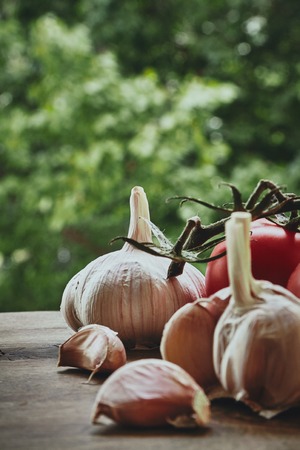 Vertical photo of red fresh tomatoes on the green stem garlic bulb and cloves on the blured backgroundの写真素材