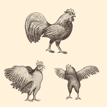Set of hand drawn roosters and chickensのイラスト素材