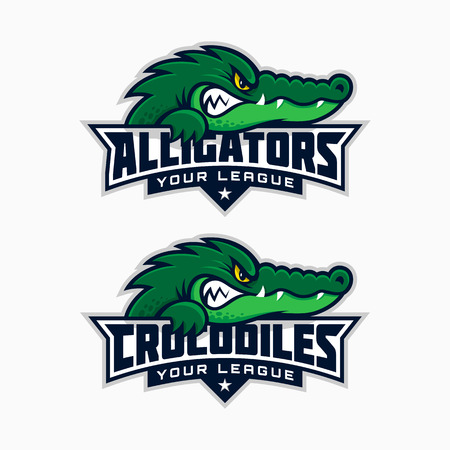 Two mascots for a sport team.のイラスト素材