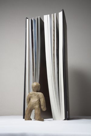The plasticine person studies the book from the different parties