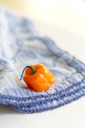 Whole Habaneroの写真素材