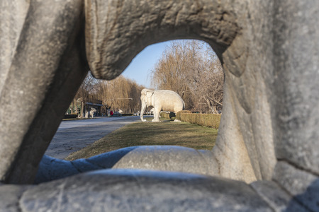 elephant carving stone sculptureの写真素材