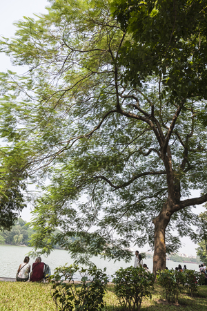 tourist at Hoan Kiem lakeのeditorial素材