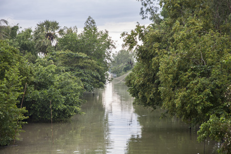 Can Tho sceneryの写真素材