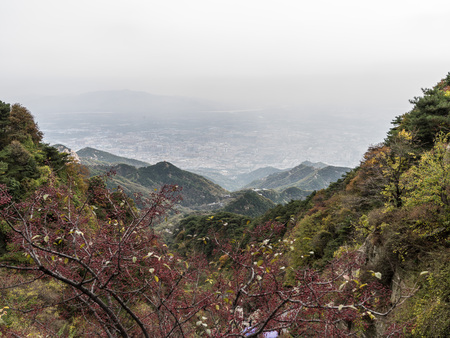 Scenic view on a mountainの写真素材