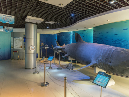 Shark exhibit inside Qingdao aquariumのeditorial素材