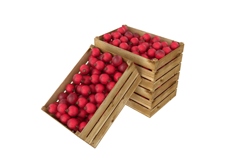 3D render of pomegranate in wooden box isolated on white background.の写真素材