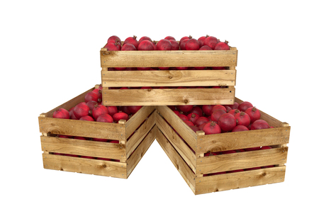 3D render of pomegranate in wooden box isolated on white background.の写真素材