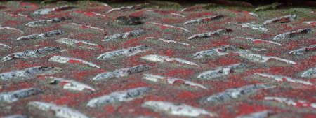 Detail of a diamond plate steel floorの写真素材