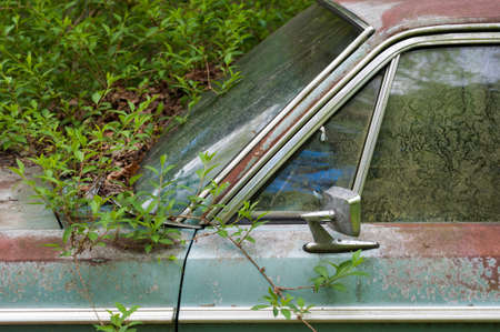 Detail of a rusty green car abandoned by the side of the roadの写真素材