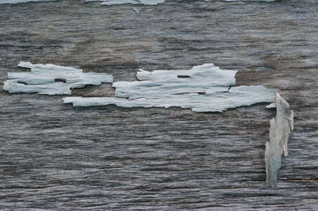 Detail of weathered wood with peeling paint  for backgroundの写真素材