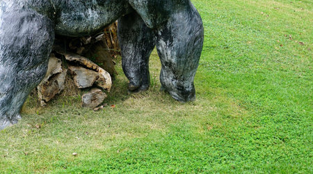 A vintage old wooden with a half body model animal  on the lawn in the park, nature background.の写真素材