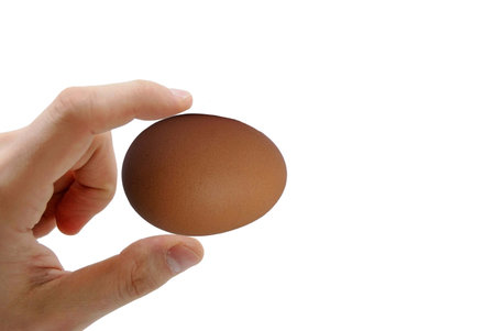 Hand holding a brown egg isolated on white background, food healty concepts.の写真素材