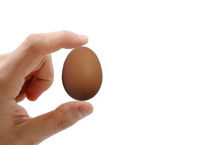 Hand holding a brown egg isolated on white background, food healty concepts.の写真素材