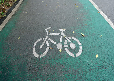 Bicycle sign painted on the bike lane in the park.