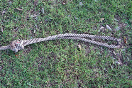 Close up a old rope on the green grass in the park, environment concepts.
