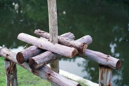 Close up a newly planted tree trunk with a crutches and a backside is a canal.の写真素材
