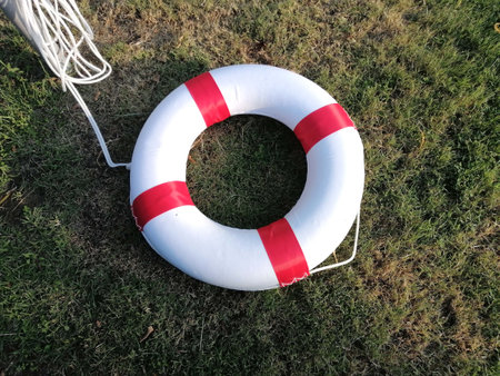 Lifebuoy on the grass, close-up of photo.