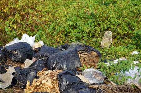 A pile of many plastic garbage on the ground backside ia a grass, environmental pollution concepts.の写真素材