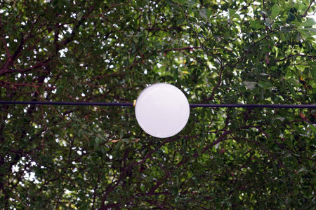White round signboard hanging in the garden.の写真素材