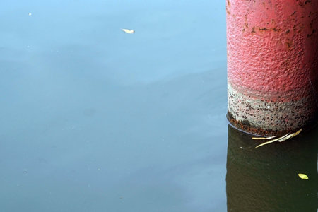 A old red big pipes in the water for pulling water out for the pond with cement edge, environment concepts.の写真素材