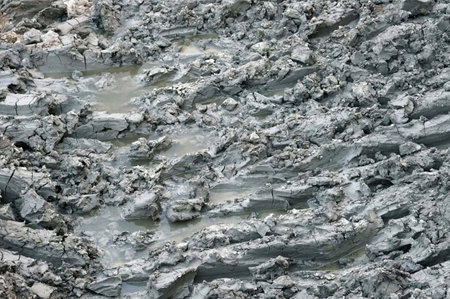 Mud and water on the surface of the lake in the spring