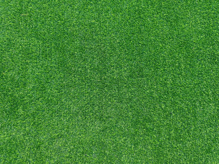 Top view of a green grass field texture and background.の写真素材