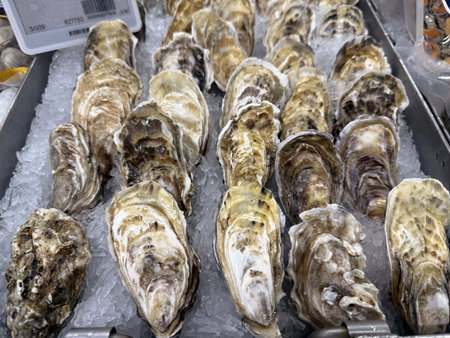 Fresh oysters on ice in the market, closeup of photoの写真素材