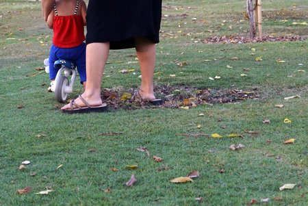 Little boy playing with his mother on the grass in the park.の写真素材
