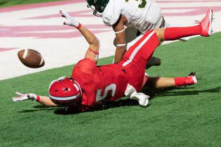 Action photos of football players making amazing plays during a competitive game