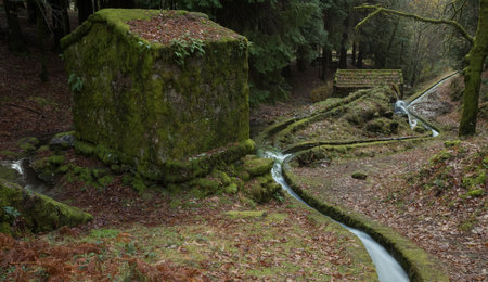 Abandoned moss covered water mills and a small water canal in Moinhos de Rei, Cabeceiras de Basto, Portugalの写真素材