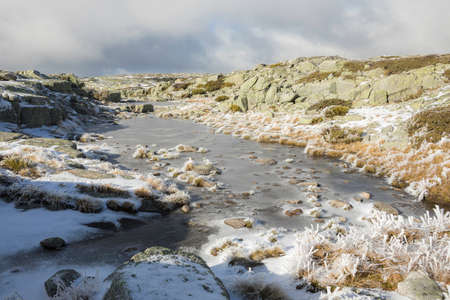 Frozen pond and snowy vegetation with a beautiful afternoon light in Serra da Estrela Natural Park, Portugalの写真素材