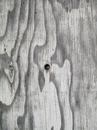 Textured wood boardの写真素材