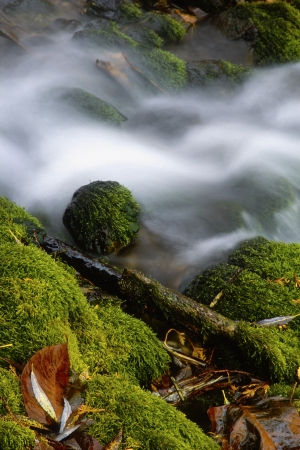 Water flowing over rocks in long exposure の写真素材