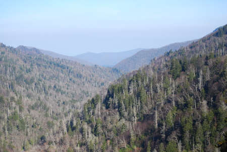 Smokey Mountainsのeditorial素材