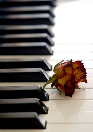 Love song pianoの写真素材