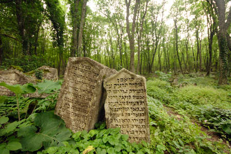 Jewish cemetary in Crimea, Ukraine のeditorial素材