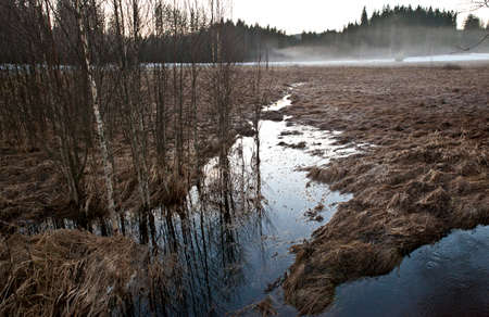 River   stream in frozen countryside at evening, sundown, Sumava mountains, Czech republic