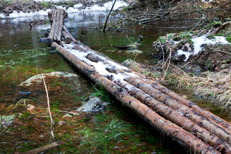 Improvised bridge from logs in forest covered in snow