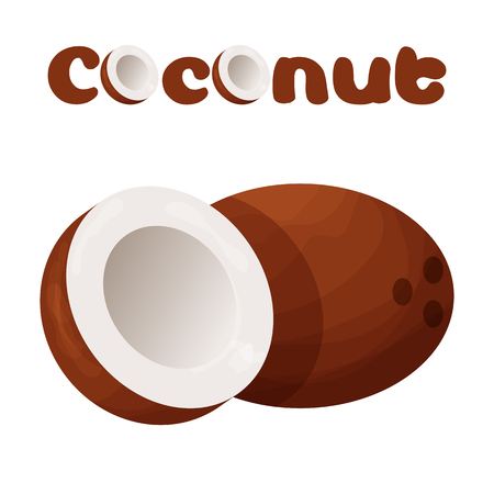 Coconut icon. Cartoon illustration of coconut vector icon for webのイラスト素材