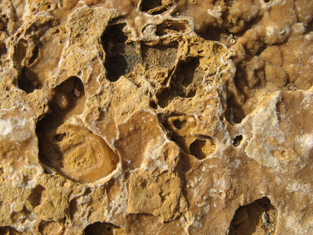 rock textureの写真素材