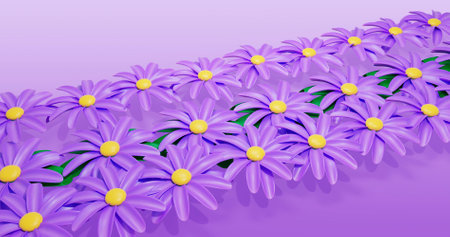 Purple daisies on a purple background. Vector illustration.