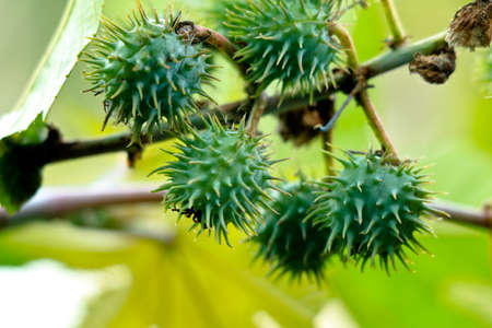 A beautiful scenery from Karappuzha Dam site in Wayanad, Kerala, Long shotの写真素材